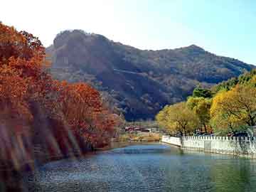 正版澳门天天开彩大全，冷卷板